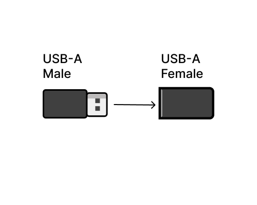 USB Type A Male Vs USB Type A Female